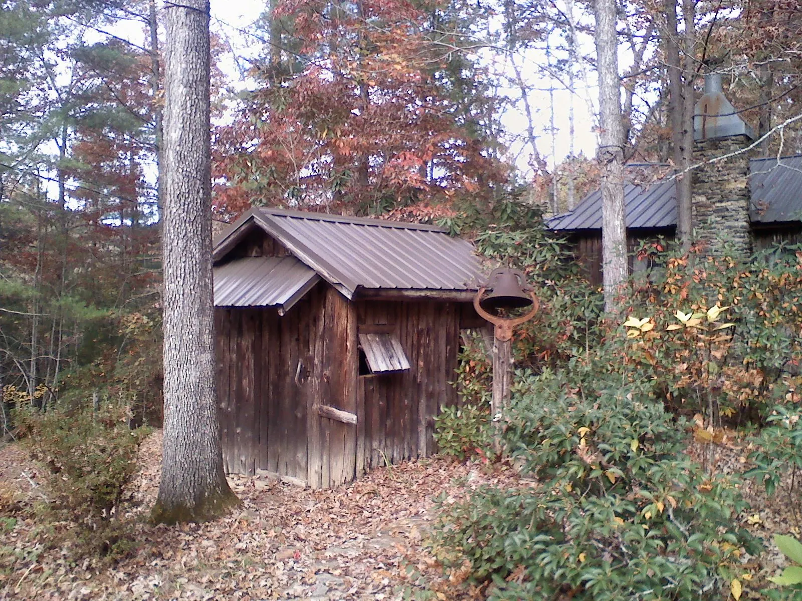 Small metal roof on a rough sawn shed in the woods in Toone